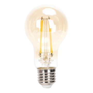 LED prigušiva sijalica FILAMENT A60 E27/6W/230V 2200K - Aigostar