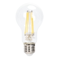 LED prigušiva sijalica FILAMENT A60 E27/6W/230V 2700K - Aigostar