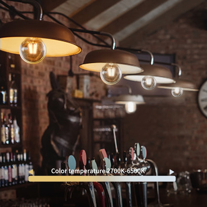 LED prigušiva sijalica FILAMENT G125 E27/6W/230V 2700-6500K Wi-Fi - Aigostar