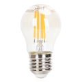 LED prigušiva sijalica FILAMENT G45 E27/4W/230V 2200K - Aigostar