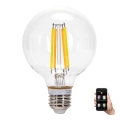 LED prigušiva sijalica FILAMENT MESH Smart G95 E27/6W/230V 2700-6500K - Aigostar