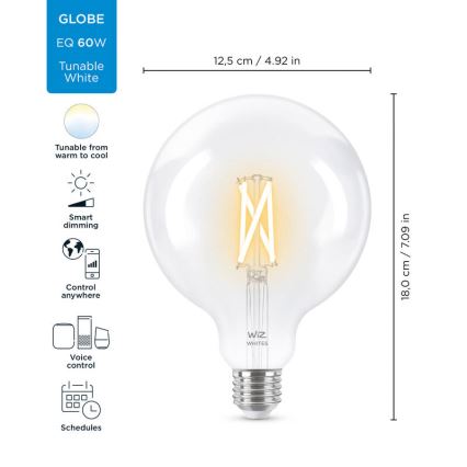 LED prigušiva sijalica FILAMENT G125 E27/7W/230V 2700-6500K CRI 90 Wi-Fi - WiZ