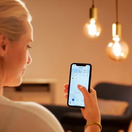 LED prigušiva sijalica FILAMENT G200 E27/6,5W/230V 2700-6500K CRI 90 Wi-Fi - WiZ