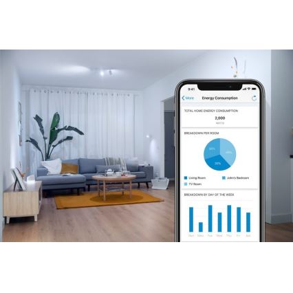 LED prigušiva sijalica FILAMENT G95 E27/6,7W/230V 2700-6500K CRI 90 Wi-Fi - WiZ