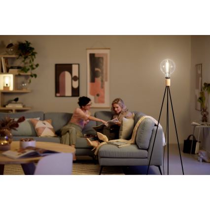 LED prigušiva sijalica Philips E27/6,5W/230V 3000K