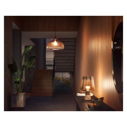 LED prigušiva sijalica Philips Hue WHITE E27/13,5W/230V 2700K