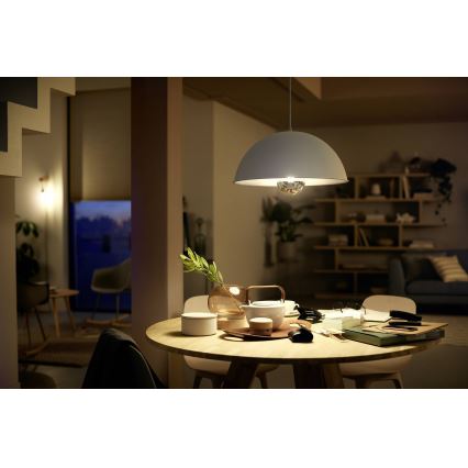 LED prigušiva sijalica sa ogledalnim vrhom DECO Philips G125 E27/7,2W/230V 2700K