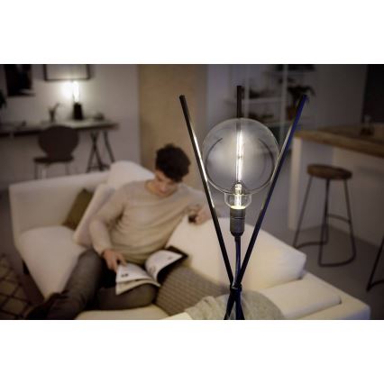 LED prigušiva sijalica SMOKY VINTAGE Philips G200 E27/6,5W/230V 4000K