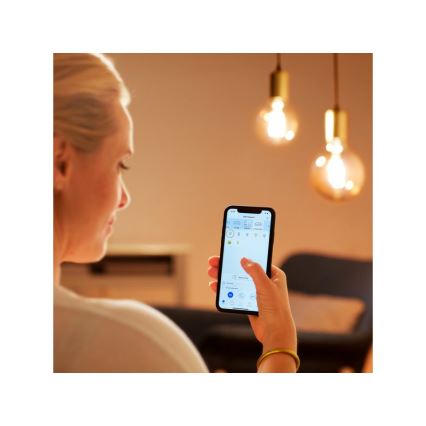 LED prigušiva sijalica VINTAGE FILAMENT G125 E27/6,7W/230V 2000-5000K CRI 90 Wi-Fi - WiZ