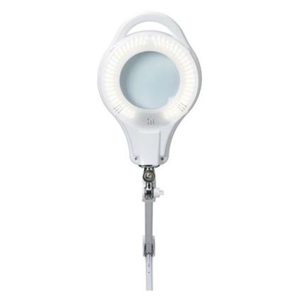LED prigušiva stona lampa sa lupom LED/10W/230V bela