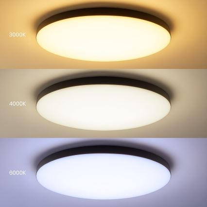 LED prigušiva plafonska svetiljka SIENA LED/80W/230V 3000-6000K prečnik 75 cm crna + daljinski upravljač