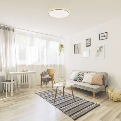 LED prigušiva plafonska svetiljka 24W/230V + daljinski upravljač, okrugla, 2700K-6500K