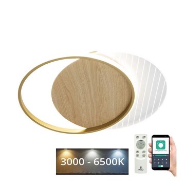 LED prigušiva stropna svetiljka LED/60W/230V 3000-6500K + daljinski upravljač