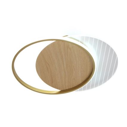 LED prigušiva stropna svetiljka LED/60W/230V 3000-6500K + daljinski upravljač