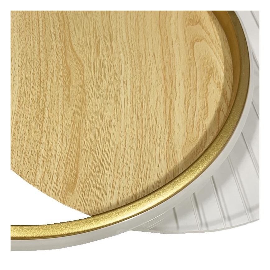 LED prigušiva stropna svetiljka LED/60W/230V 3000-6500K + daljinski upravljač