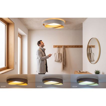 LED prigušiva stropna svetiljka SMART GALAXY MODERN LED/24W/230V 3000-6500K prečnik 55 cm siva/bež/zlatna + daljinski upravljač