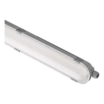 LED prigušiva tehnička svetiljka MISTY LED/29/37/45/51W/230V 6500K IP66