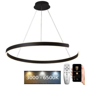 LED prigušiva viseći luster na sajli LED/100W/230V 3000-6500K prečnik 80 cm + daljinski upravljač