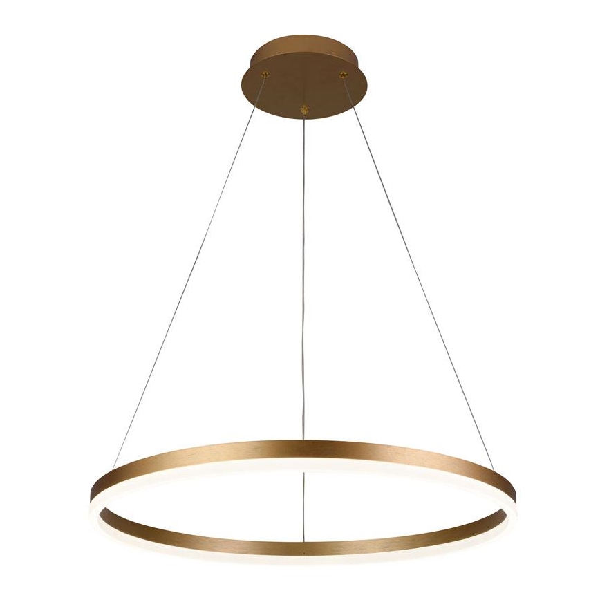 LED prigušiva luster na sajli LED/42W/230V 3000-6500K prečnik 60 cm + daljinski upravljač