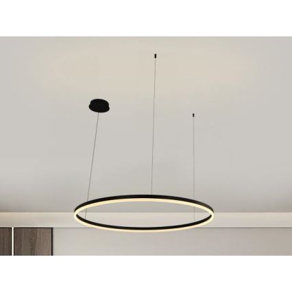 LED prigušiva luster na sajli LED/55W/230V 3000–6500K prečnik 80 cm + daljinski upravljač