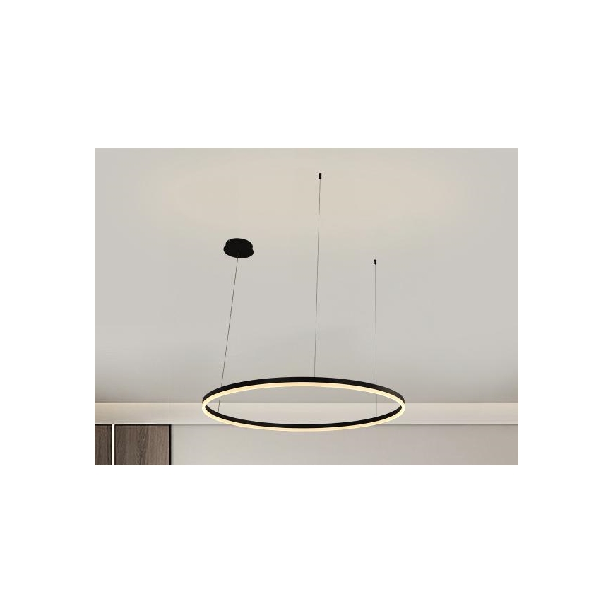 LED prigušiva luster na sajli LED/55W/230V 3000–6500K prečnik 80 cm + daljinski upravljač