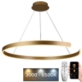 LED prigušiva visilica na sajli LED/100W/230V 3000-6500K prečnik 80 cm + daljinski upravljač