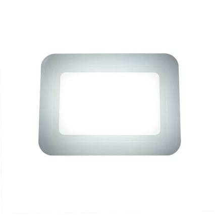 LED reflektor 50 W, 230 V, 4000 K, IP65