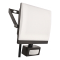 LED reflektor sa senzorom pokreta i sumraka TAMBO EVO LED/50W/230V 4000K IP44 crna