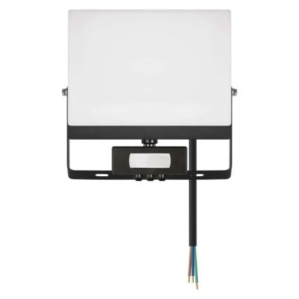 LED reflektor sa senzorom pokreta i sumraka TAMBO EVO LED/50W/230V 4000K IP44 crna