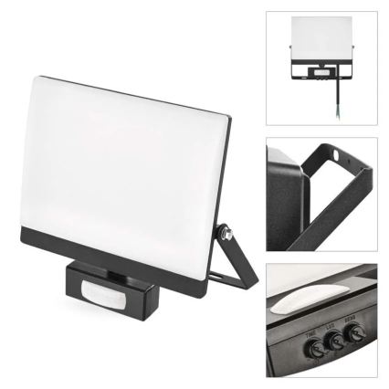 LED reflektor sa senzorom pokreta i sumraka TAMBO EVO LED/50W/230V 4000K IP44 crna
