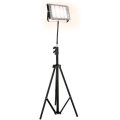 LED reflektor sa stalkom za uzgoj biljaka FIRON LED/45W/230V IP54 crna