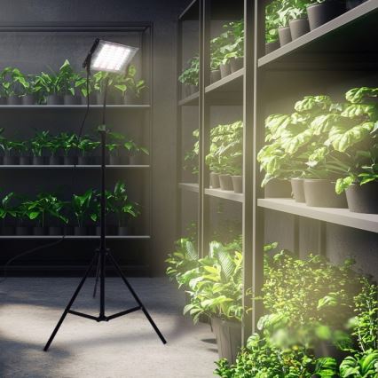 LED reflektor sa stalkom za uzgoj biljaka FIRON LED/45W/230V IP54 crna