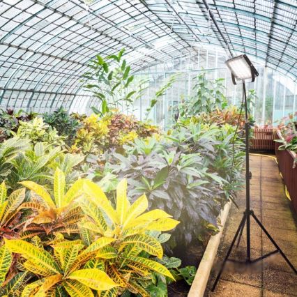 LED reflektor sa stalkom za uzgoj biljaka FIRON LED/45W/230V IP54 crna