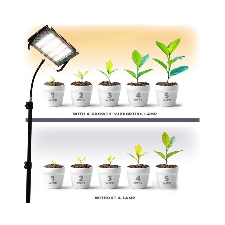 LED reflektor sa stalkom za uzgoj biljaka FIRON LED/45W/230V IP54 crna