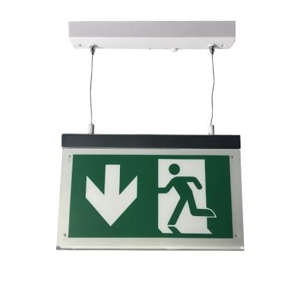 LED rezervna svetiljka LED/4W/230V 6000K 1000 mAh