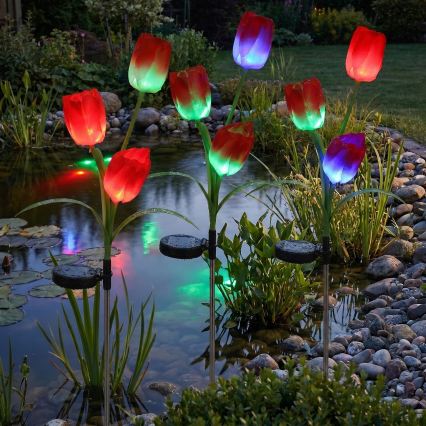 LED RGB solarna dekorativna svetiljka 3xLED/3,7V 200 mAh IP44 tulipán