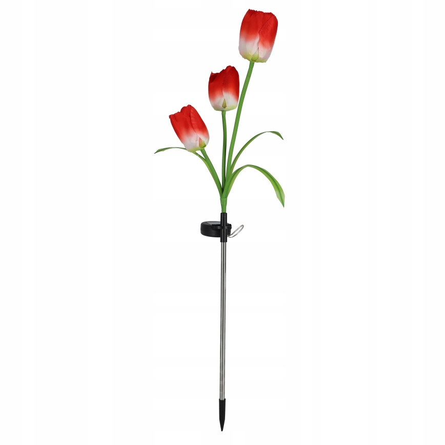 LED RGB solarna dekorativna svetiljka 3xLED/3,7V 200 mAh IP44 tulipán