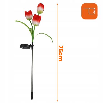 LED RGB solarna dekorativna svetiljka 3xLED/3,7V 200 mAh IP44 tulipán