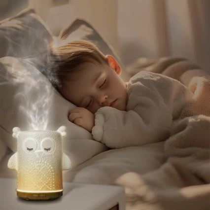 LED RGBW Aroma difuzer LED/8W/230V 100 ml sova
