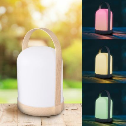 LED RGBW dekorativna stona lampa MINORKA LED/0,3W/4,5V 3xAA