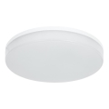 LED RGBW prigušiva plafonska lampa za kupatilo LED/20W/230V Wi-Fi IP44 bela