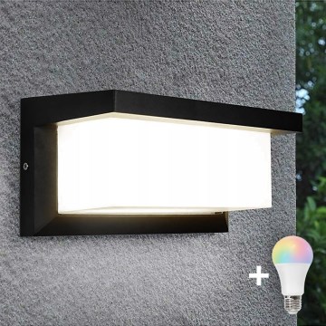 LED RGBW prigušiva spoljašnja zidna lampa NEELY 1xE27/9W/230V 2700-6500K IP54 Wi-Fi crna
