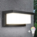 LED RGBW prigušiva spoljašnje zidno svetlo NEELY 1xE27/9W/230V 2700-6500K IP54 Wi-Fi antracit
