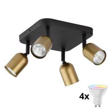 LED RGBW prigušiva spot svetiljka TOP 4xGU10/6,5W/230V 2700-6500K zlatna/crna