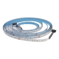LED RGBW prigušiva traka za kupatilo DAISY 5m topla bela IP65