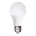 LED sijalica A60 E27/12W/230V 6500K - Aigostar
