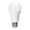 LED sijalica A60 E27/24W/230V 6500K - Aigostar