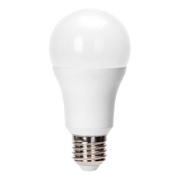 LED sijalica A60 E27/24W/230V 6500K - Aigostar