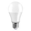LED sijalica A70 E27/17W/230V 3000K