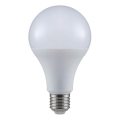 LED sijalica A80 E27/20W/230V 3000K